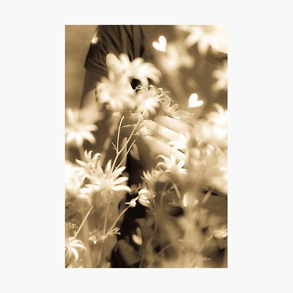 Item preview.