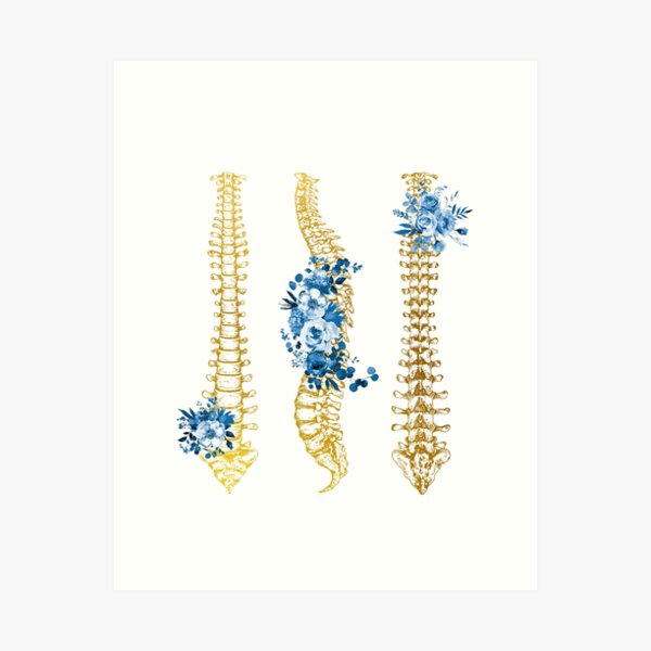 Item preview, Human Spine designed and sold by Liededrom..