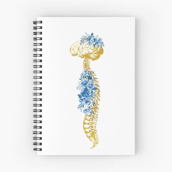 Item preview, Human Spine with Brain designed and sold by Liededrom..