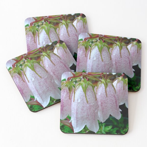 Item preview, Campanula Burghaltii designed and sold by Sharon Perrett.