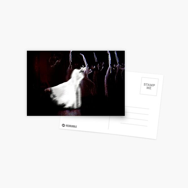 Eurydike (Pina Bausch) Postcard