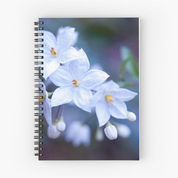 Item preview, Jasmine Nightshade Flowers #3 #floral #art  designed and sold by Anita's & Bella's Art.