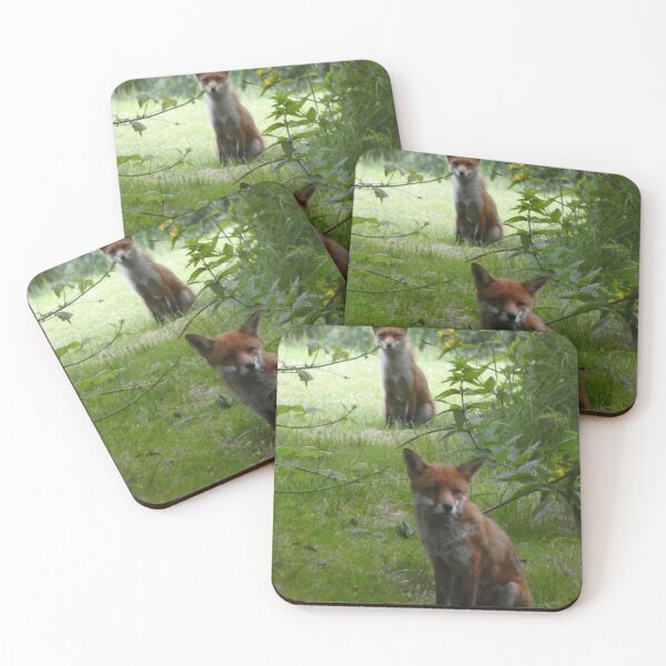 Item preview, Foxes designed and sold by amdavies.