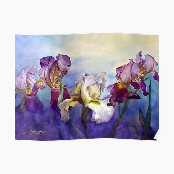 Bearded Irises Poster