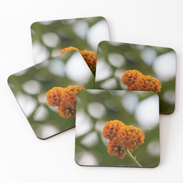 Item preview, buddleia globosa designed and sold by codaimages.