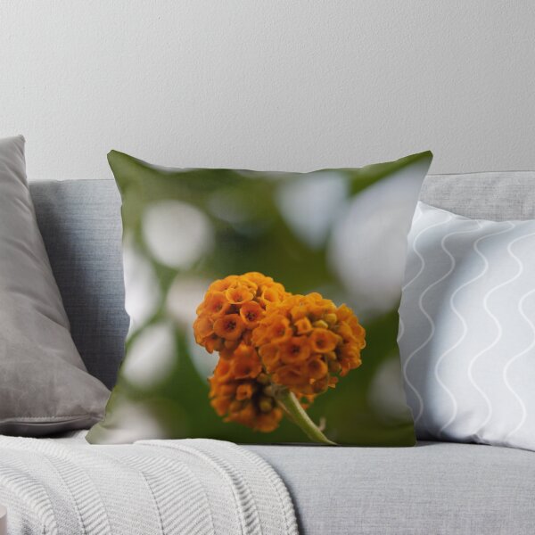 Item preview, buddleia globosa designed and sold by codaimages.