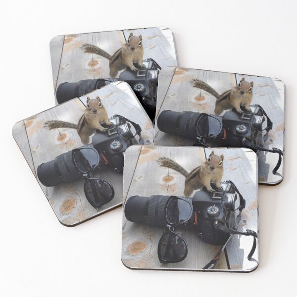 Item preview, Not Camera Shy designed and sold by Betsy Seeton.