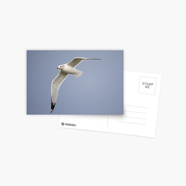 Item preview, Gull designed and sold by Paulette1021.