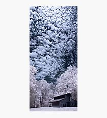 Above Me Photographic Print