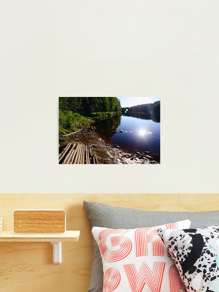 Thumbnail 2 of 3, Photographic Print, Forest River designed and sold by Mallorn.