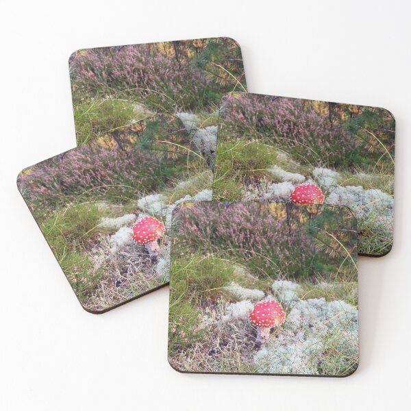 Forest underground Coasters (Set of 4)