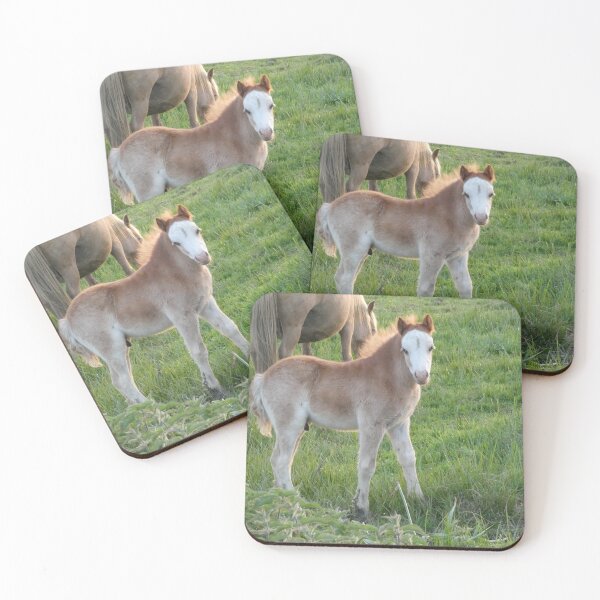 Item preview, Pony designed and sold by amdavies.