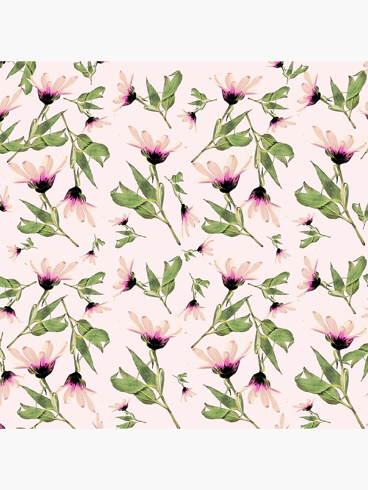 Rosa Romantik blühen von RanitasArt