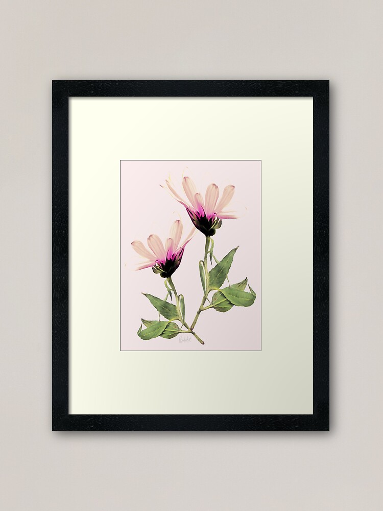 Alternative Ansicht von Rosa Romantik blühen Gerahmter Kunstdruck