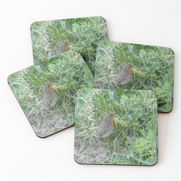 Item preview, Robin designed and sold by amdavies.