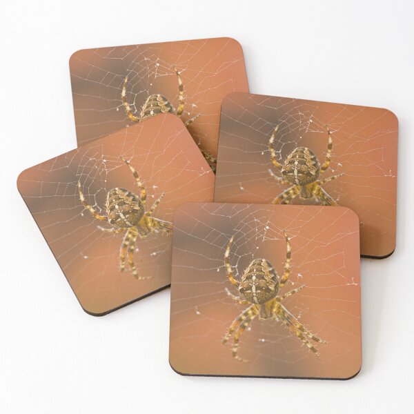 Item preview, Garden spider, Araneus diadematus designed and sold by Jon Lees.