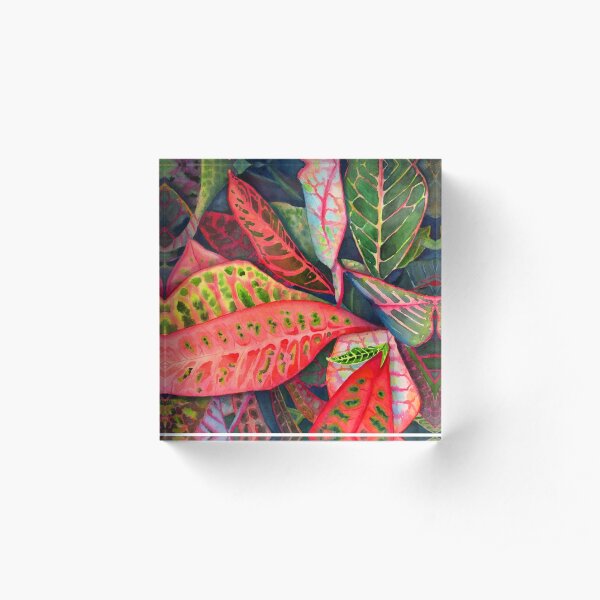 Exuberance Acrylic Block