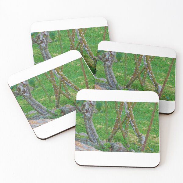 Item preview, Barren bush designed and sold by MChabalaRussell.