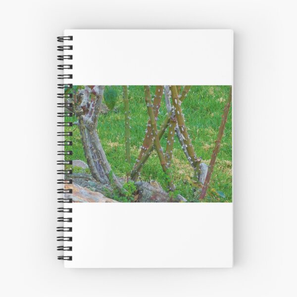 Item preview, Barren bush designed and sold by MChabalaRussell.