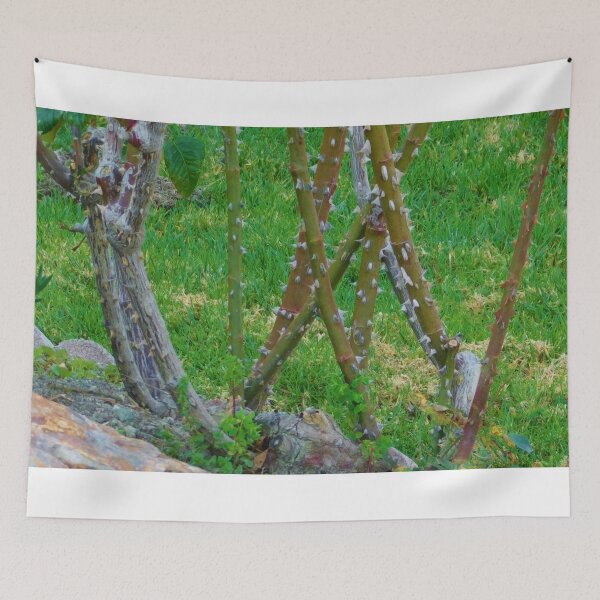 Item preview, Barren bush designed and sold by MChabalaRussell.