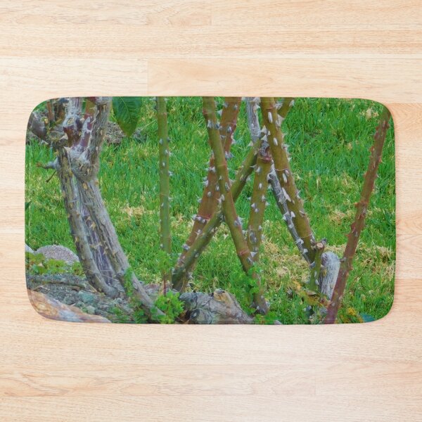 Item preview, Barren bush designed and sold by MChabalaRussell.