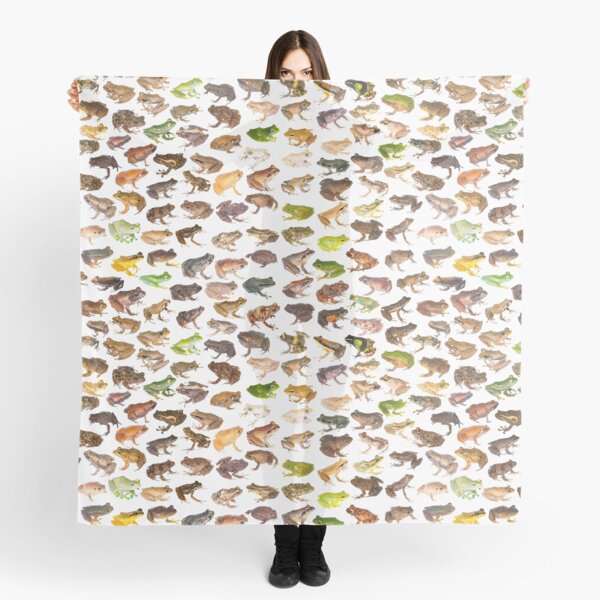 Item preview, 101 Frogs of Madagascar, First Edition designed and sold by Mark D. Scherz.