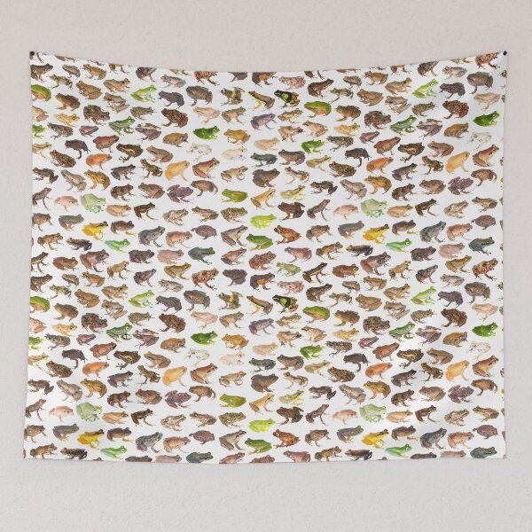 Item preview, 101 Frogs of Madagascar, First Edition designed and sold by Mark D. Scherz.