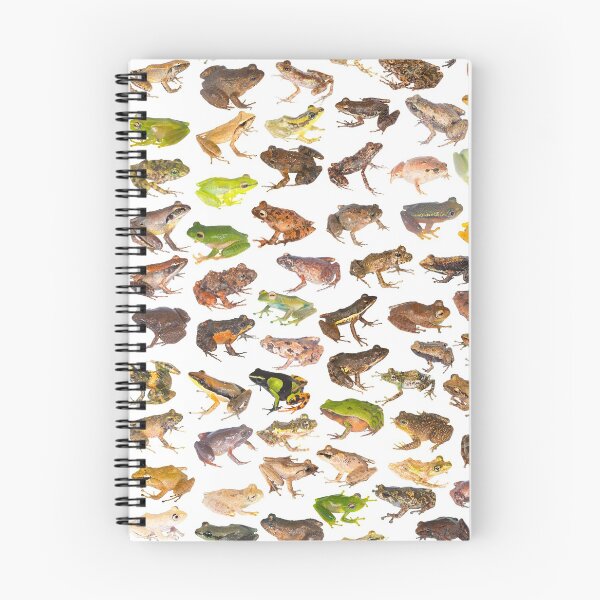 Item preview, 101 Frogs of Madagascar, First Edition designed and sold by Mark D. Scherz.