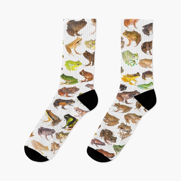Item preview, 101 Frogs of Madagascar, First Edition designed and sold by Mark D. Scherz.