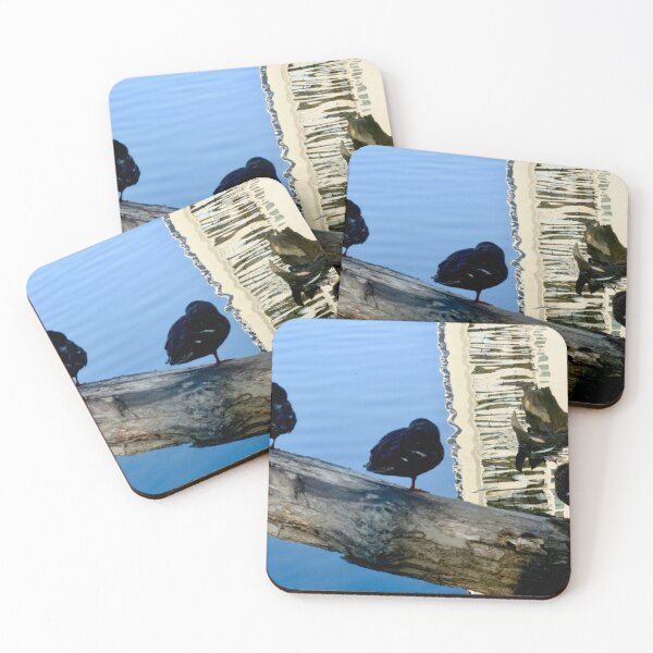 Item preview, Three Ducks on a Log designed and sold by Shulie1.
