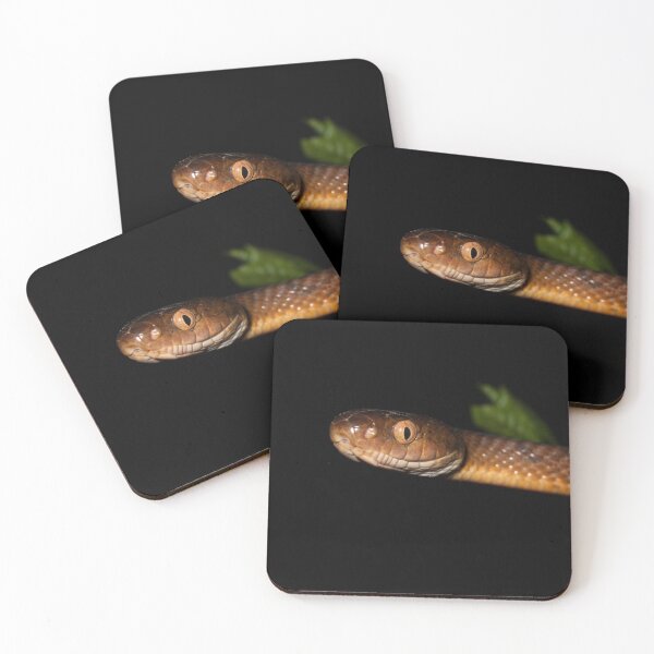 Item preview, Brown Tree Snake designed and sold by Connie Pinson.