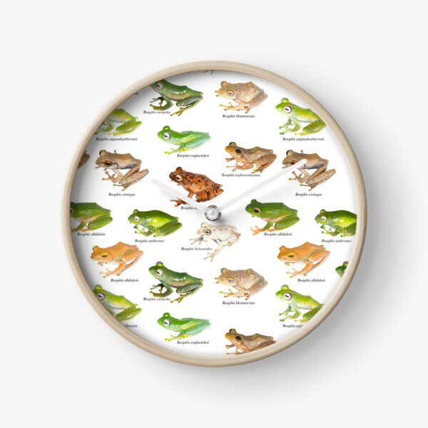 Boophis Tiles I Clock