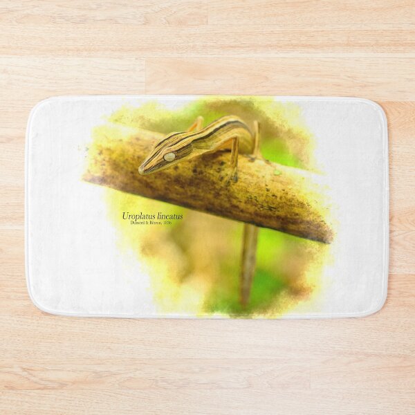 Item preview, Uroplatus lineatus Duméril & Bibron, 1836 designed and sold by Mark D. Scherz.