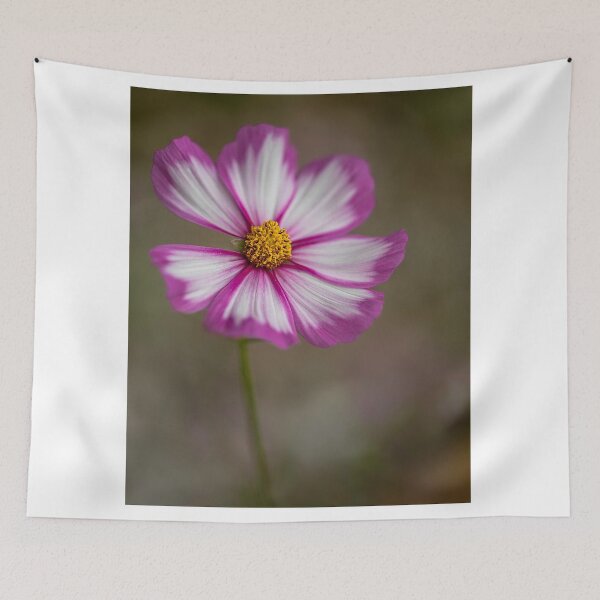 Item preview, Cosmos Dance By Tl Wilson Photography designed and sold by TLWilsonPhoto.