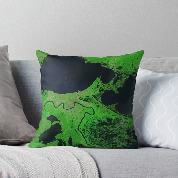 Item preview, Signs of Katrina Linger in the Marshes designed and sold by wrstscrnnm6.