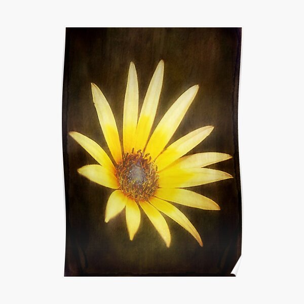 Lemon Yellow © Poster