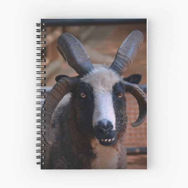 Item preview, Jacob Sheep designed and sold by Savannah Gibbs.