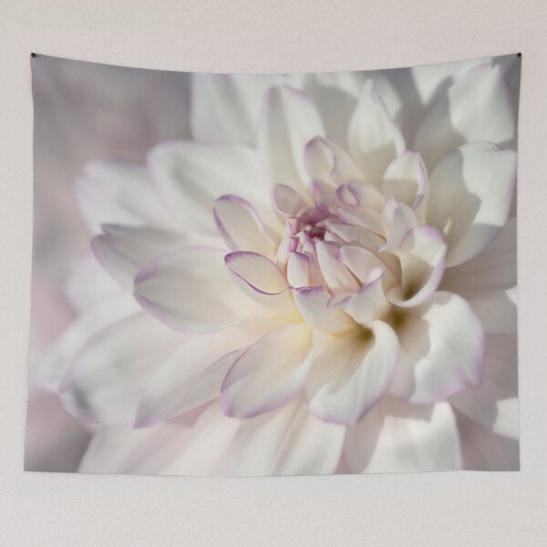 Item preview, Mikayla Miranda Dahlia 6517 by TL Wilson Photography designed and sold by TLWilsonPhoto.
