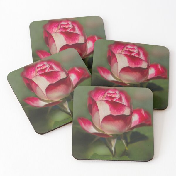 Artikelvorschau, Halten Sie an und riechen Sie die Rosen von TL Wilson Photography entworfen und verkauft von TLWilsonPhoto.