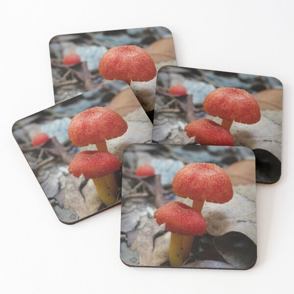 Item preview, Wax Cap Fungi (Hygrocybe spp.) designed and sold by Connie Pinson.