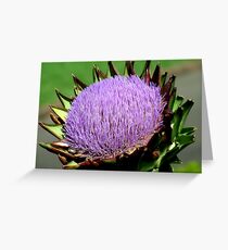 Protea Greeting Card