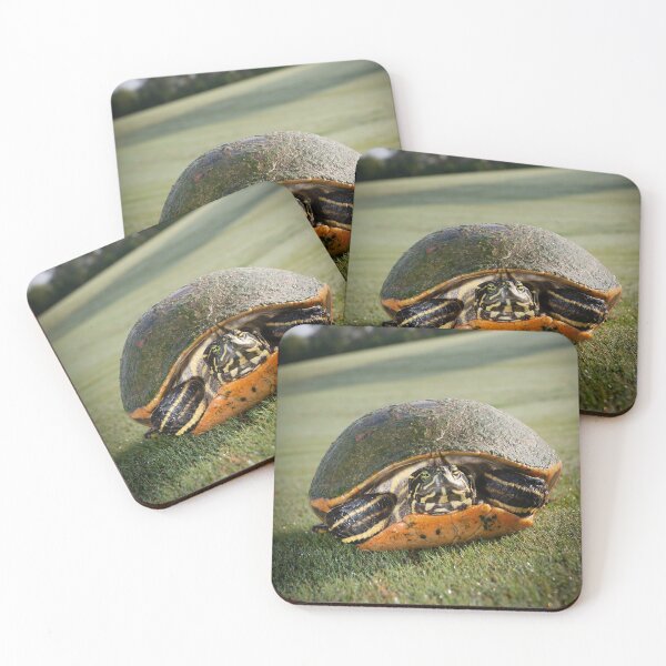 Item preview, Sunbathing Turtle designed and sold by KrisHundt.