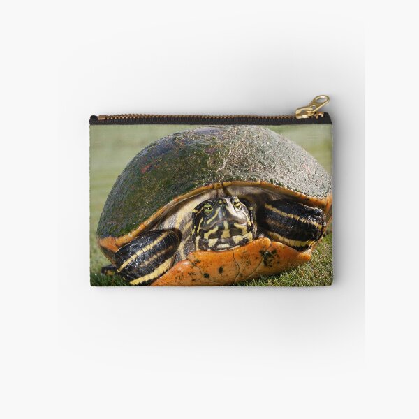 Item preview, Sunbathing Turtle designed and sold by KrisHundt.