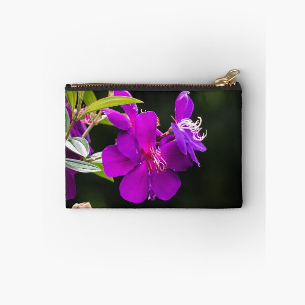 Item preview, Tibochina sp Flowers in bloom designed and sold by Connie Pinson.