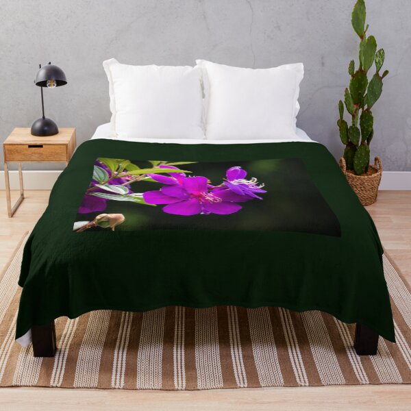 Item preview, Tibochina sp Flowers in bloom designed and sold by Connie Pinson.