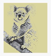 Koala Black and White Photographic Print
