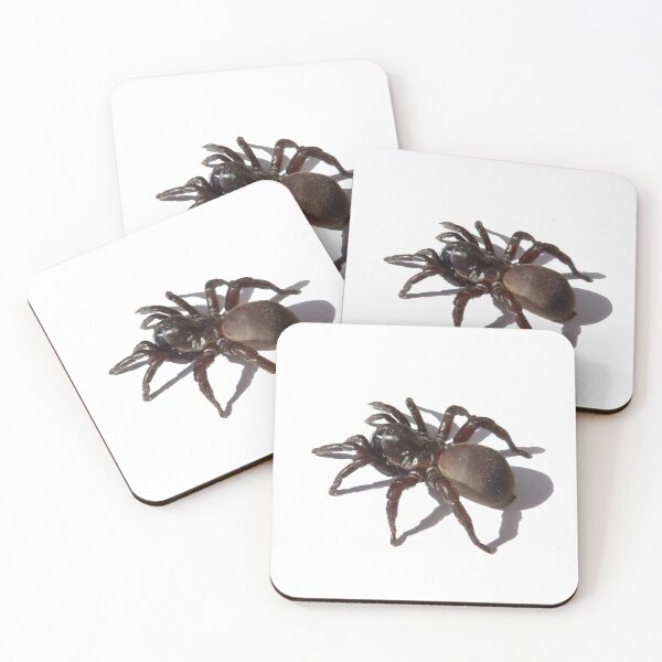 Item preview, Tarantula Socks designed and sold by deanworld.
