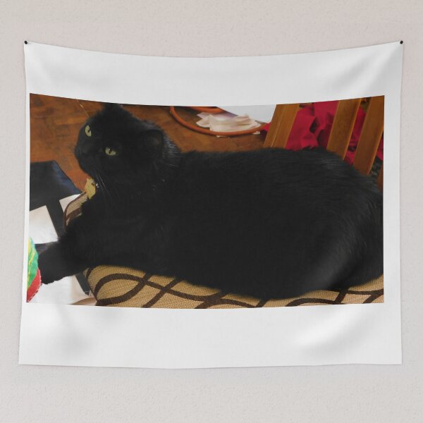Item preview, Charismatic cat designed and sold by MChabalaRussell.