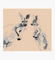 Kangaroos Black and White Photographic Print