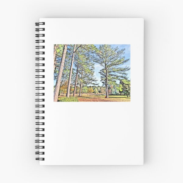 Item preview, Serene South GA Pine Forest Yard, trees and LOTS of warm (sometimes HOT) sunshine. designed and sold by Crobin1961.
